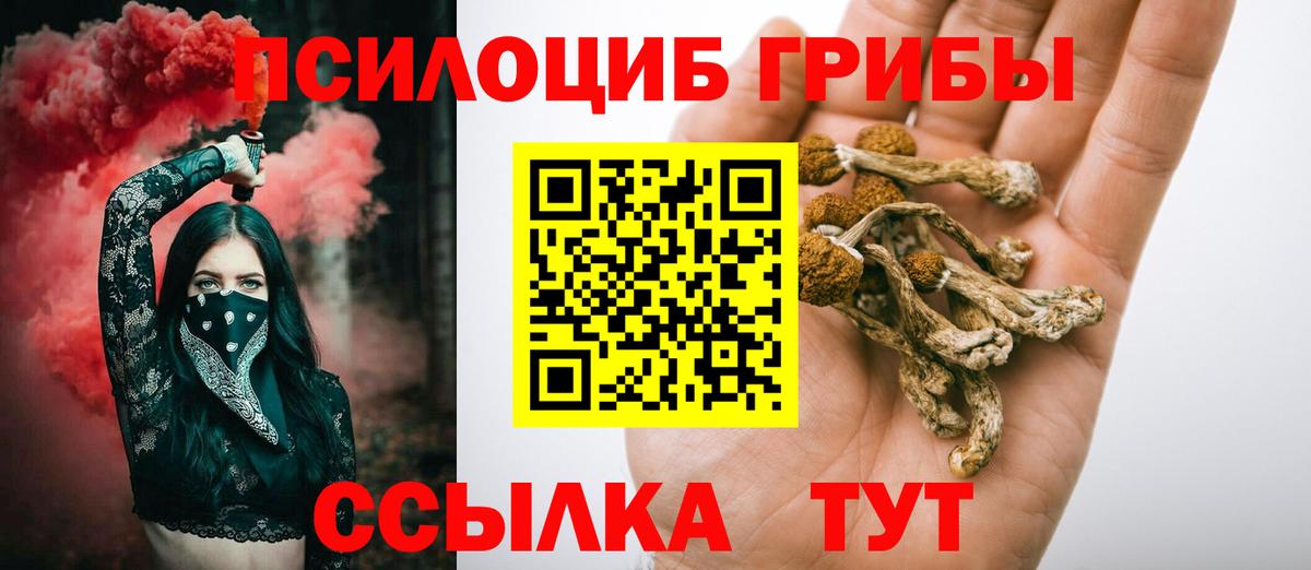 Галлюциногенные грибы MAGIC MUSHROOMS  сколько стоит  Белорецк  Вход с VPN  Псилоцибиновые грибы Psilocybe 